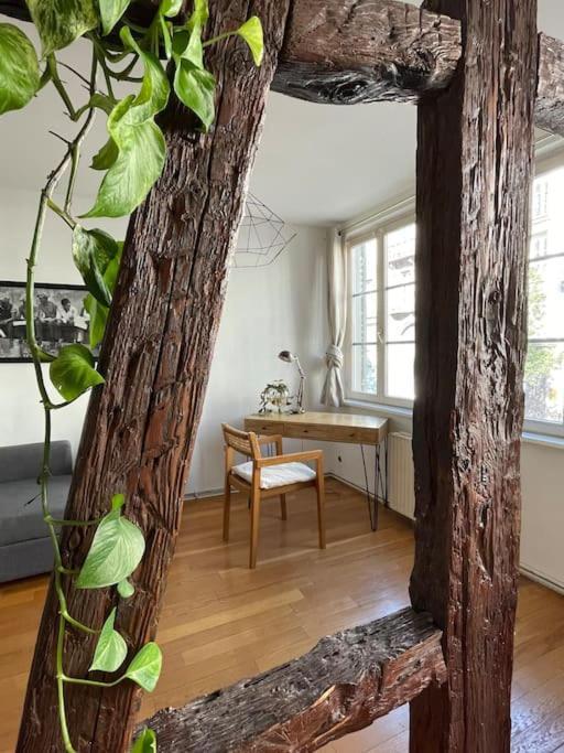 Appartement 2 Chambres Au Coeur De ストラスブール エクステリア 写真