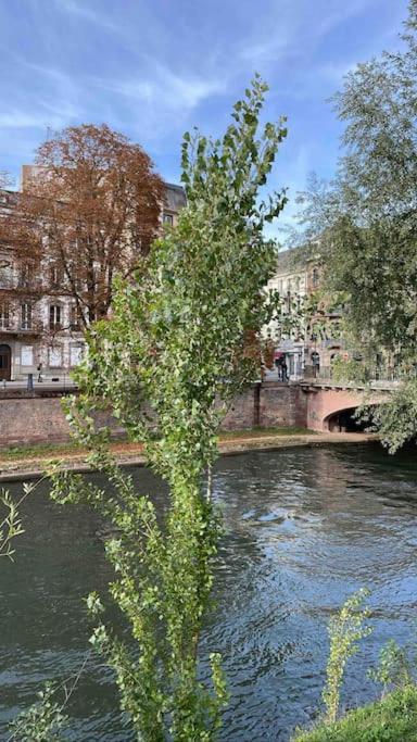 Appartement 2 Chambres Au Coeur De ストラスブール エクステリア 写真
